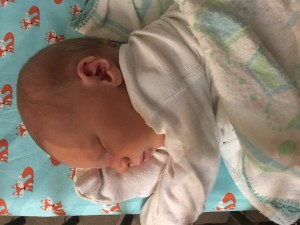 20170124 020026624 iOS